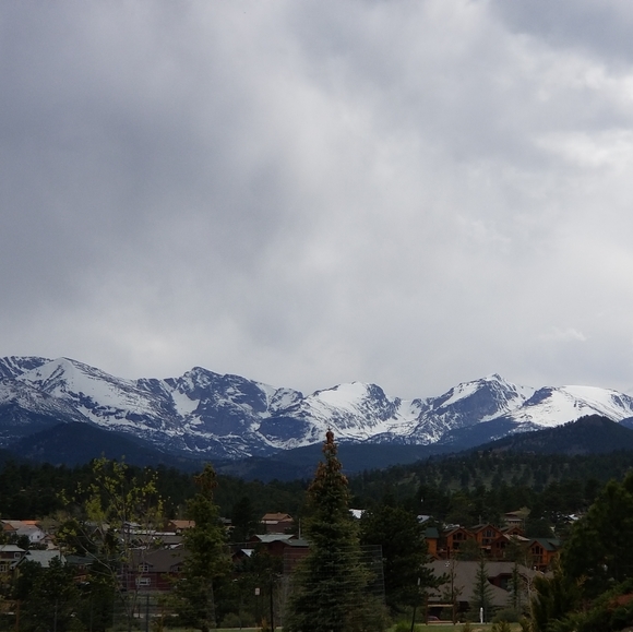 Meet your Posher, Cat - Picture 4 of 4